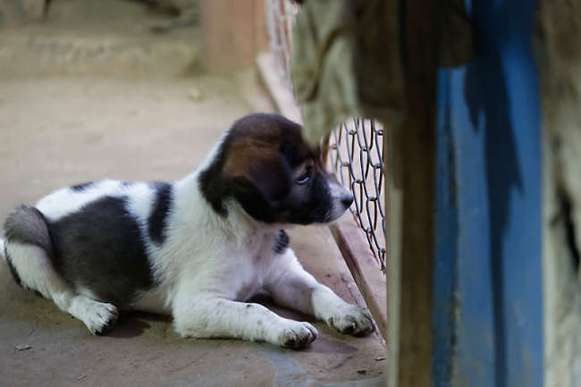 Famille et amis-MAR14-080